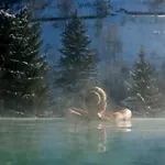 Hotel La Cheneaudiere - - Relais & Chateaux - Restaurant Etoile
