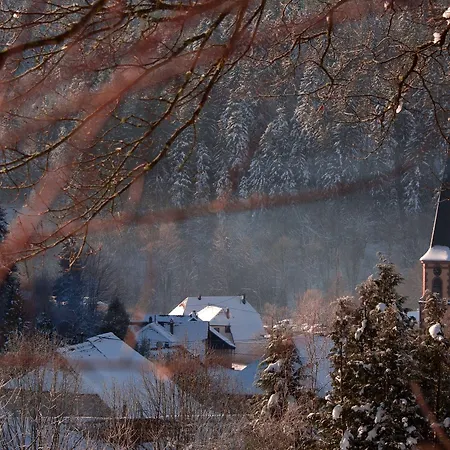 La Cheneaudiere - - Relais & Chateaux - Restaurant Etoile Hotel Colroy-la-Roche