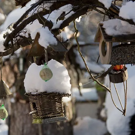 Hotel La Cheneaudiere - - Relais & Chateaux - Restaurant Etoile 5*