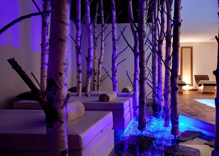 La Cheneaudiere - - Relais & Chateaux - Restaurant Etoile Colroy-la-Roche