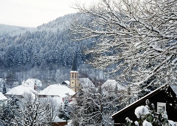 La Cheneaudiere - - Relais & Chateaux - Restaurant Etoile Colroy-la-Roche