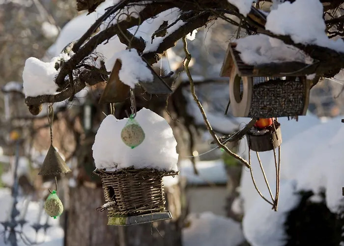 Hotel La Cheneaudiere - - Relais & Chateaux - Restaurant Etoile 5*